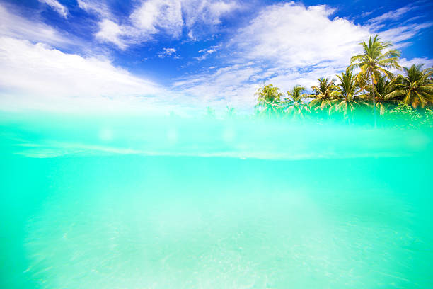 istock Under the water of topical paradise 539259741