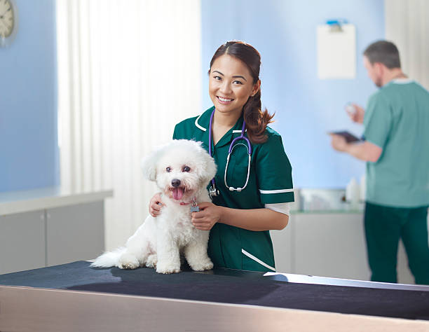istock animal hospital 539260147