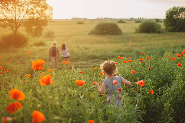 Family Family in the field.  poppy field stock pictures, royalty-free photos & images