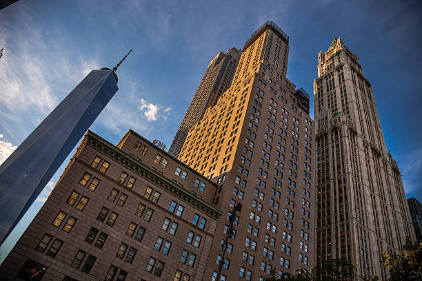 istock Office building and Freedom Tower in NY Downtown District 539260503