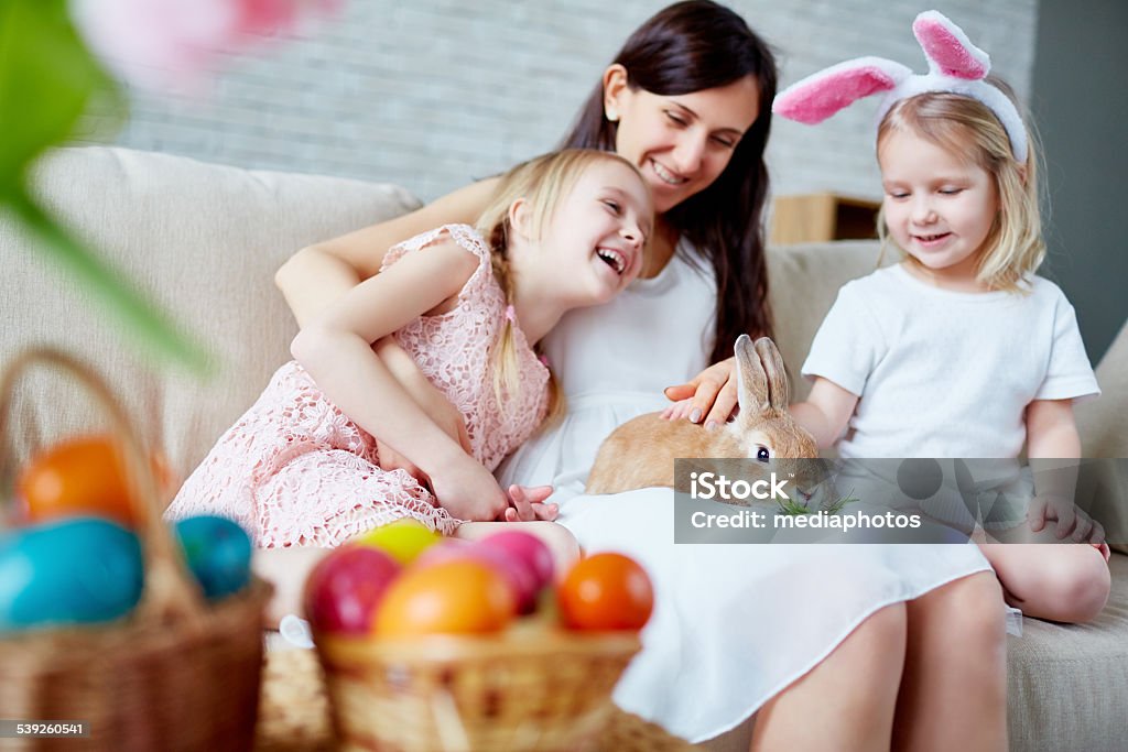 Happy Easter day Joyful family sitting on sofa and stroking cute rabbit on Easter Rabbit - Animal Stock Photo