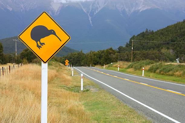 istock New Zealand symbol 539269235