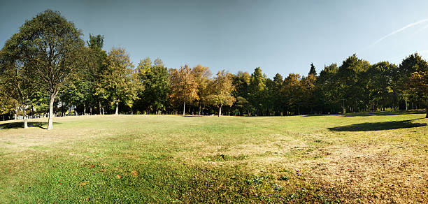 istock Park of small city 539271295