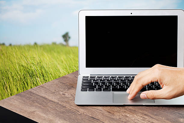 istock hand using a laptop on wood table in field background 539272195