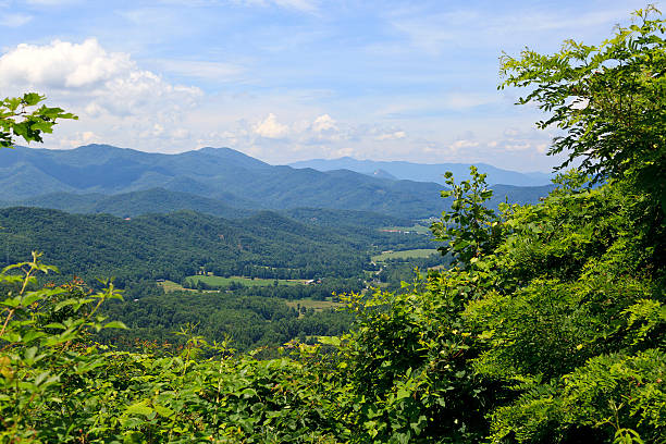istock Summer in the Mountains 539272491