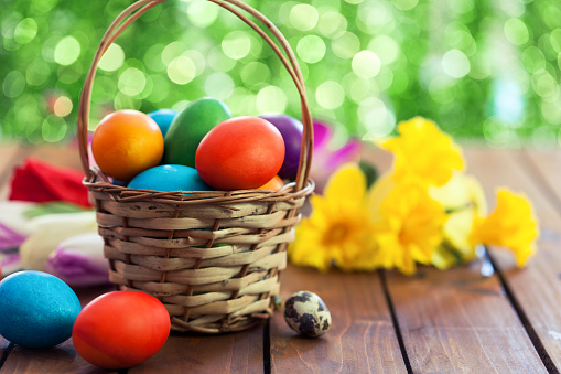 Basket with natural painted Easter eggs, surrounded by tulips and daffodils