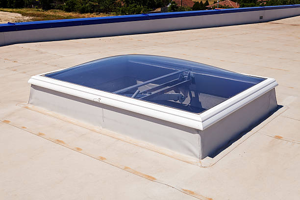 istock flat roof on industrial hall 539280471