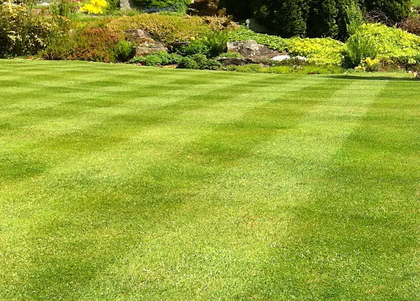 Photo of Image of garden lawn stripes, green grass turf, weed-and-feed fertiliser