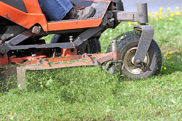 istock Side View Of A Riding Mower Ejecting Cut Grass, Closeup 539292497