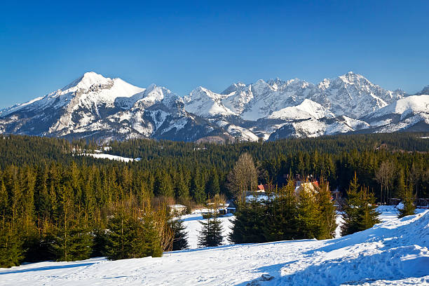 Winter High Tatra Mountains landscape, Poland