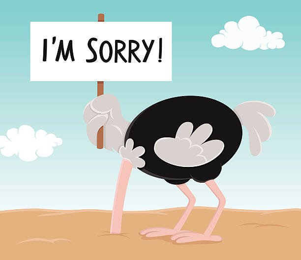 istock Ashamed and embarrassed ostrich holding I'm Sorry sign 539293811