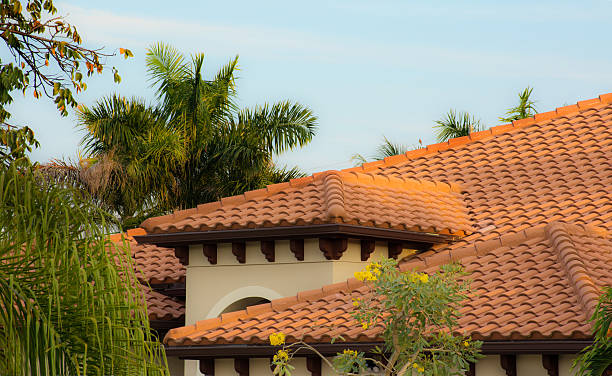 telhas de barro - roof tile - fotografias e filmes do acervo