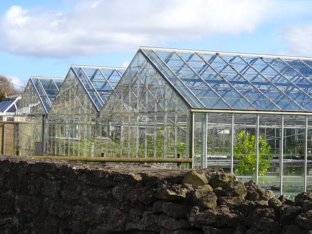 이미지 영리목적 greenhouses/glasshouses, 알루미늄 프레임, 성장하는 비종교) - aluminum glass house window 뉴스 사진 이미지