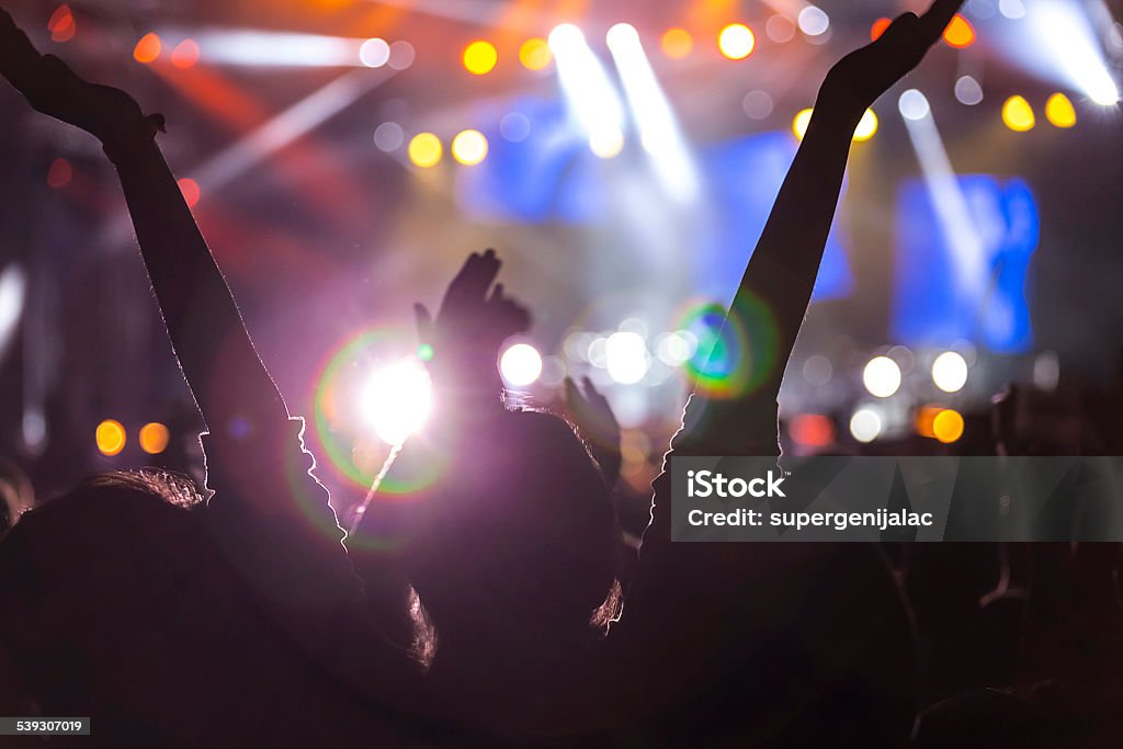 Crowd on a concert Hands in the air on a concert 2015 Stock Photo