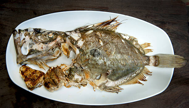Johnny Roche Fish 100+ John Dory Fish Raw Seafood Fish Stock Photos, Pictures & Royalty ...