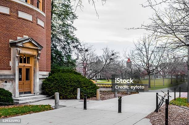 Main Qua Of University Of Illinois At Urbanachampaign Stock Photo - Download Image Now