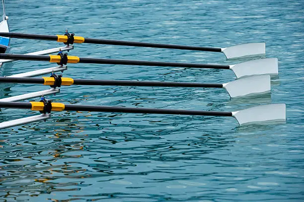 Rowing team's oars slicing through water, close-up
