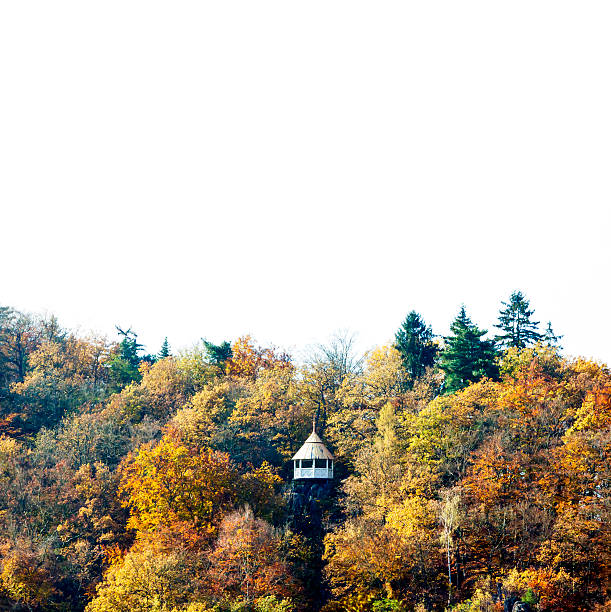 Autumn landscape with gazebo against white background, full frame square composition with copy space
