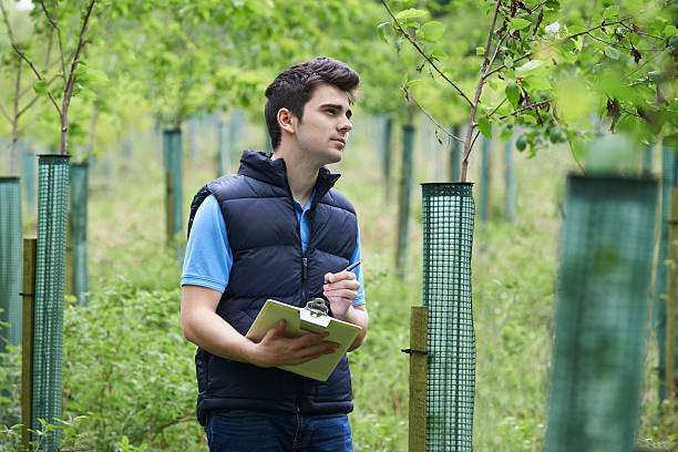 Forestry Worker With Clipboard Checking Young Trees Forestry Worker With Clipboard Checking Young Trees ecologist stock pictures, royalty-free photos & images