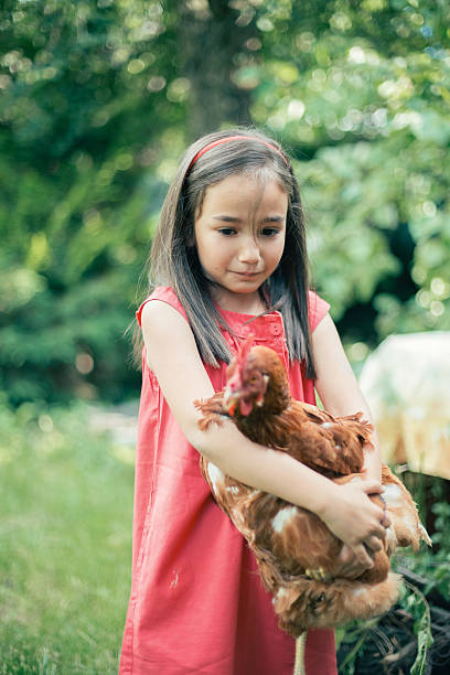 istock Sad girl hugging a hen 539327448