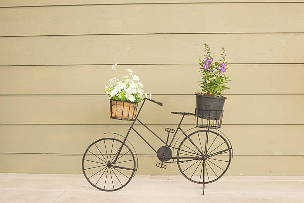 istock flowers bike 539328452