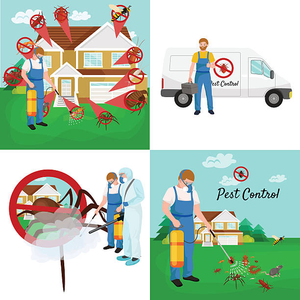 ilustrações, clipart, desenhos animados e ícones de controle de pragas com insetos exterminador conceito de ilustração vetorial design plano - exterminator pest control equipment insecticide manual worker