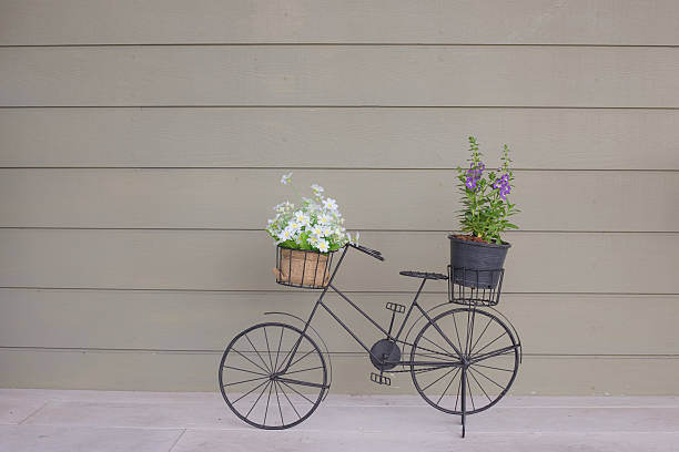 istock flowers bike 539329346