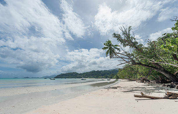 istock Seychelles Beach with Ocean Water 539330614