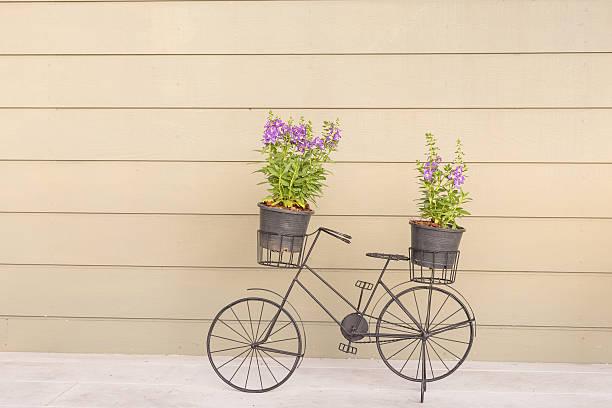 istock flowers bike 539331144