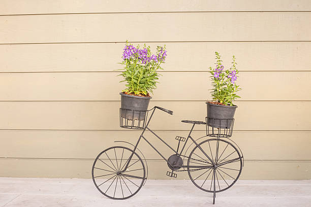istock flowers bike 539331272