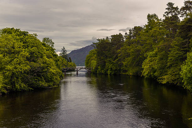 istock Wide river in the green tree forest, Scotland 539331712