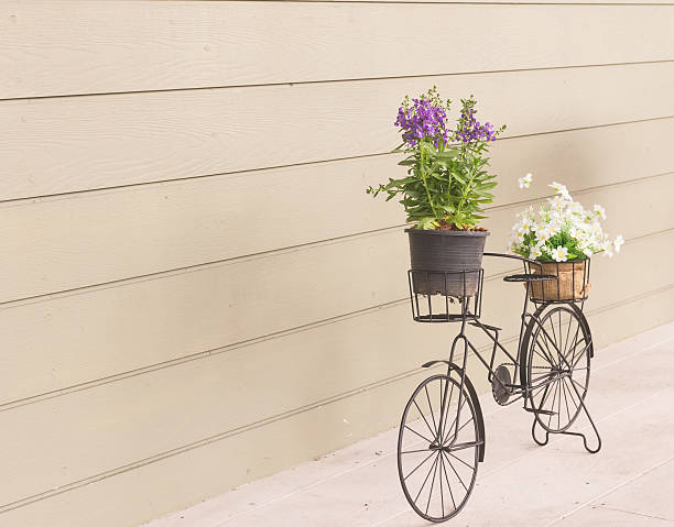 istock flowers bike 539333096
