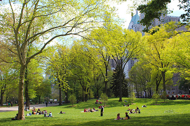 istock Summer Day In Central Park NYC 539333422