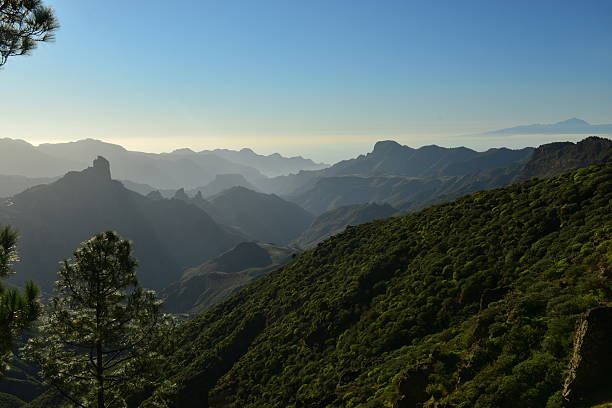 istock Tejeda, Gran Canaria, Tenerife, Spain. 539336314
