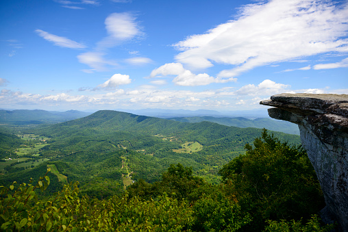 View of the Curtis Valley signpost in the foreground with a background view of the Curtis Valley of the Blue Ridge Mountains with springtime flowers, clouds, and a prominent spruce tree.