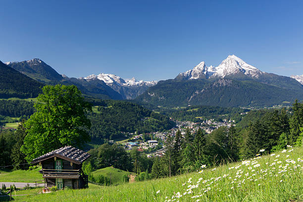 istock Idyllic summer landscape in the Alps 539339052