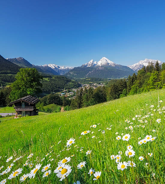 istock Idyllic summer landscape in the Alps 539340448