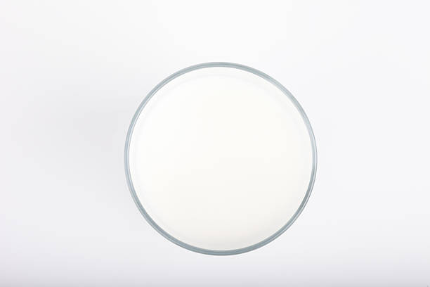 istock glass of milk on white background top view 539340622