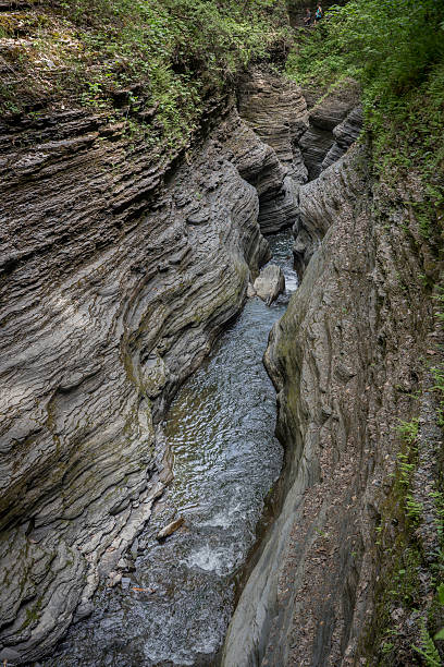 istock Watkins Glen State Park in upstate New York 539341876