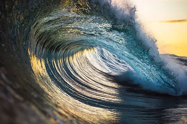 Photo of Perfect ocean wave