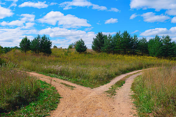 Rural landscape with crossroad on hill in forest