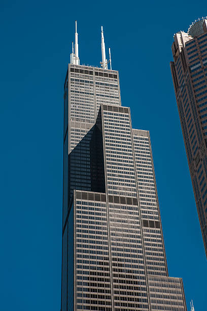 w centrum chicago i budynku sears tower. - willis tower zdjęcia i obrazy z banku zdjęć