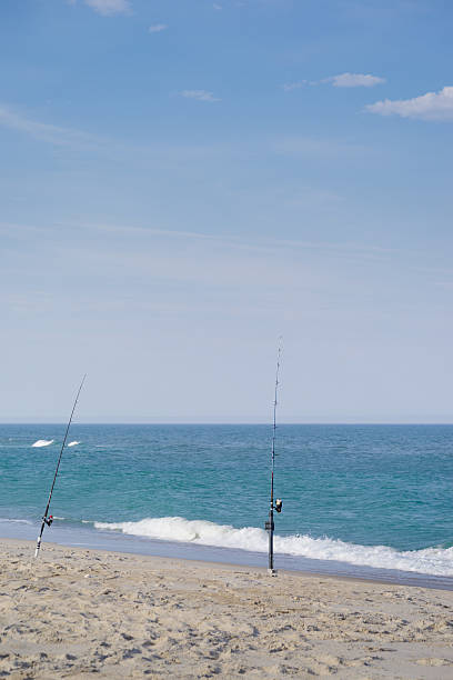 istock Fishing poles by the sea 539354798