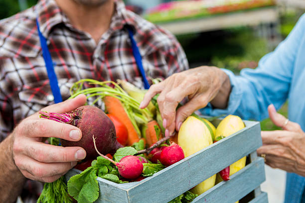 Fresh vegetables being sold at farmers market Male farmer selling fresh summer vegetables to senior woman. Carrots, radishes,  and a beet are all in the small basket. The man is wearing a blue apron. Close up of vegetables and hands, the faces are out of the shot. agricultural fair photos stock pictures, royalty-free photos & images