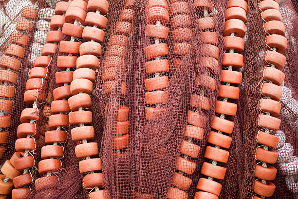 istock Rows of buoys and fishing nets. 539357343