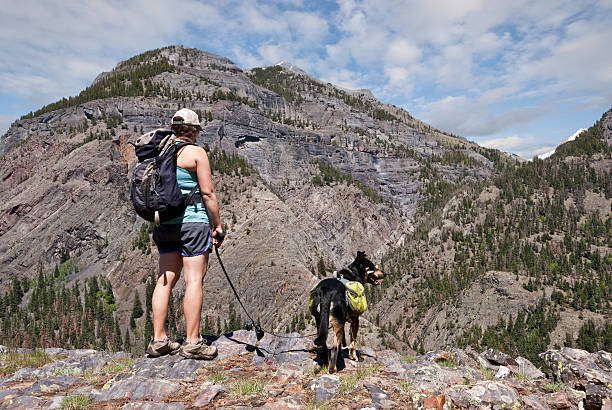 istock Young Woman Hiking with a Dog 539357745