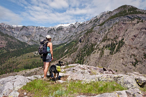 istock Young Woman Hiking with a Dog 539357747