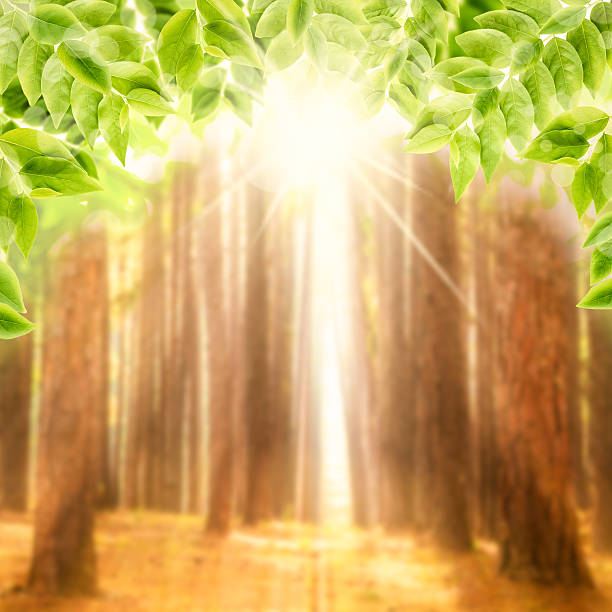 istock Green leaves background. Abstract Nature Background. 539359504