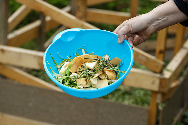 odpady organiczne kuchni zebrane do kompostowania - garbage food compost unpleasant smell zdjęcia i obrazy z banku zdjęć