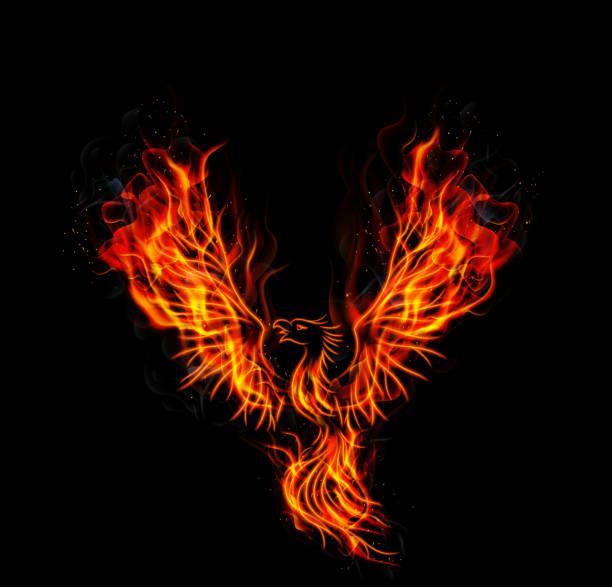 ilustrações de stock, clip art, desenhos animados e ícones de chamas de fogo de phoenix pássaro com fundo escuro - bird wings